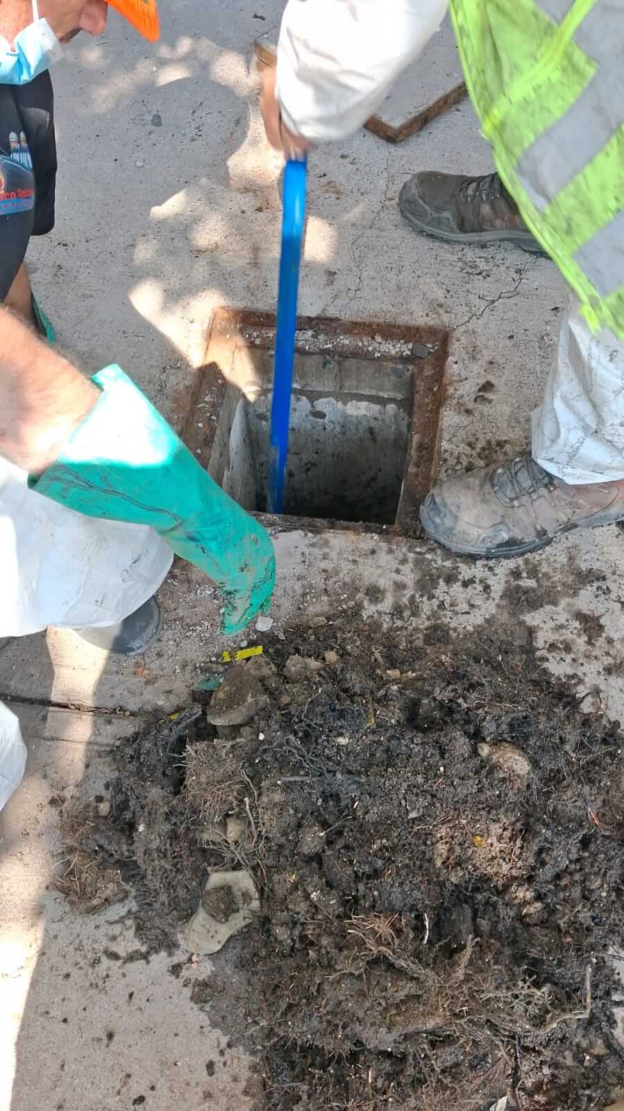 Trabajo técnico 4